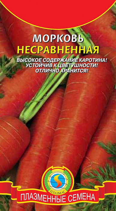 Морковь Несравненная фото Морковь Несравненная 